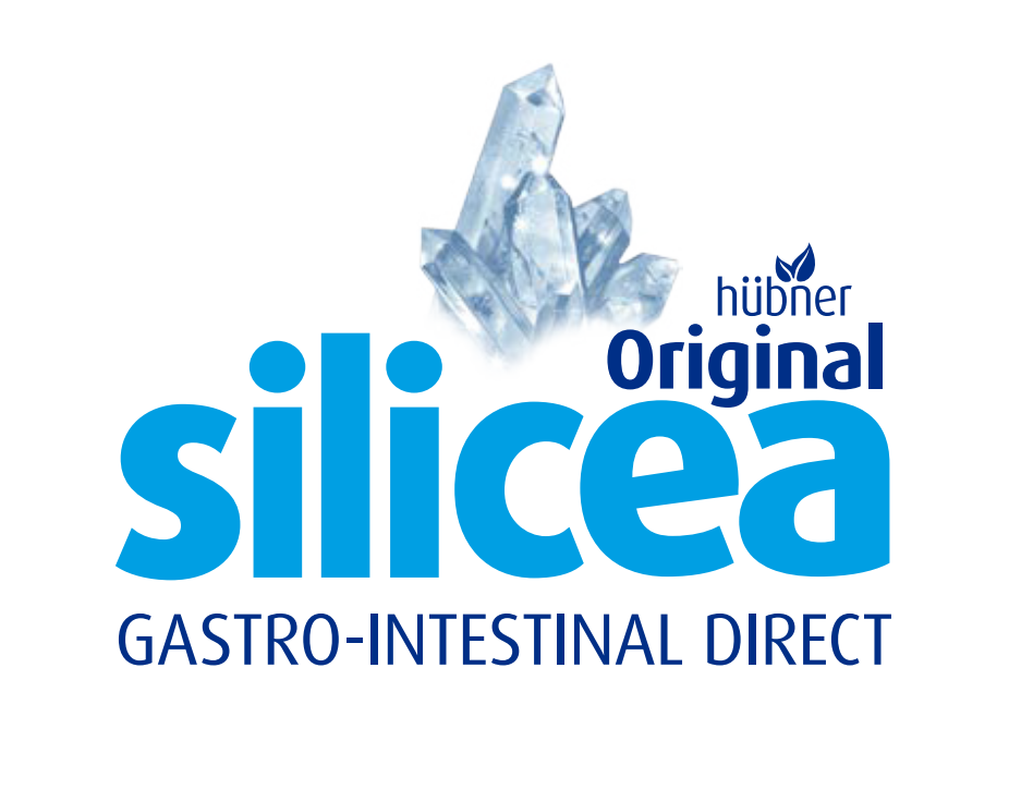 Silicea opakowanie 15 saszetek